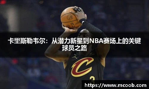 卡里斯勒韦尔：从潜力新星到NBA赛场上的关键球员之路